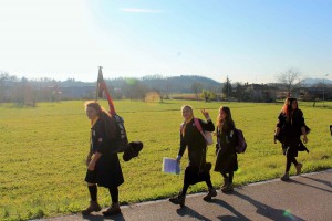 IMG_8334 (3)